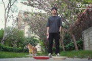 相信“柴”选！TES发布对阵IG预热：聪明预测柴做出了它的选择！